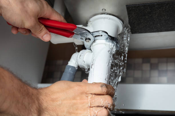 Best Mold removal after water damage  in Stepping Stone, CO
