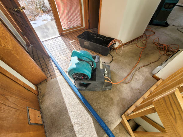 Best Local water damage restoration  in Stepping Stone, CO