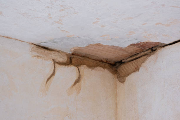 Best Commercial water damage restoration  in Stepping Stone, CO