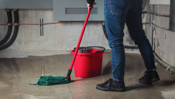 Best 24-hour water damage restoration  in Stepping Stone, CO